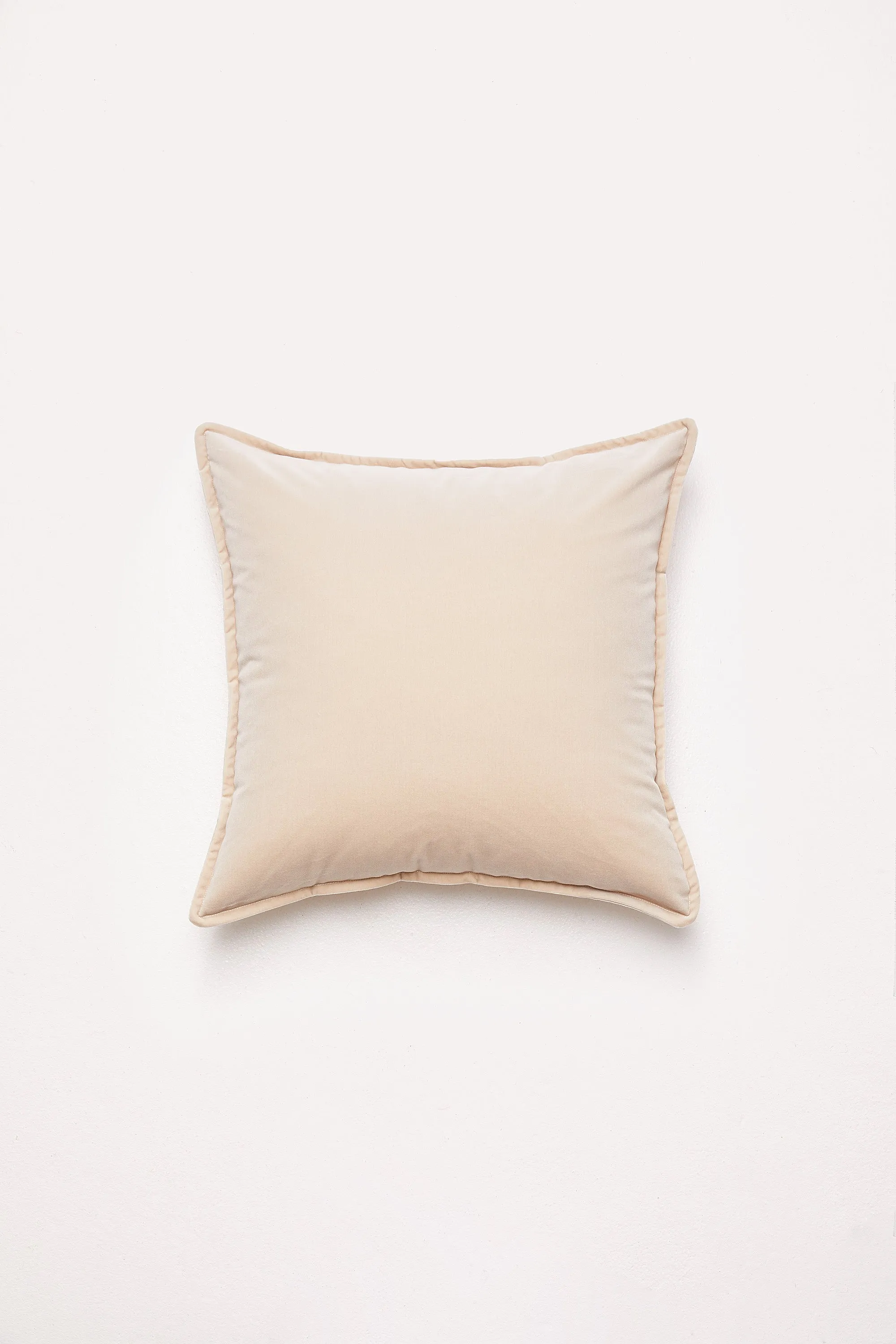 Big Velvet - French Fizz Cushion