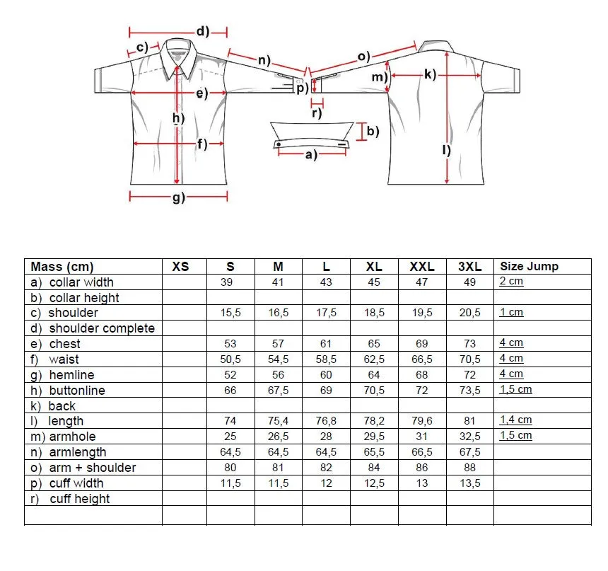 Dixon Mens Western Shirt