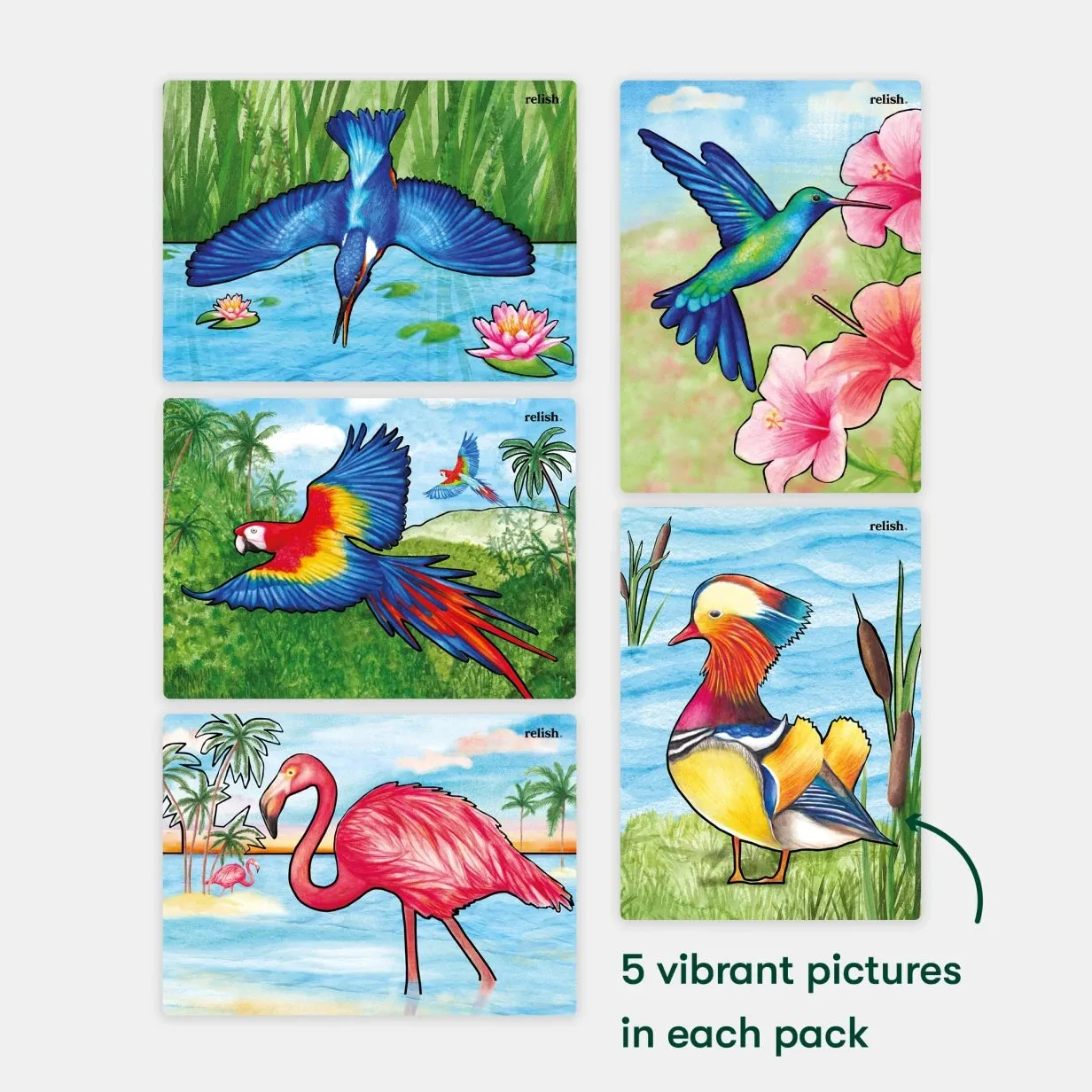 Magnificent Birds