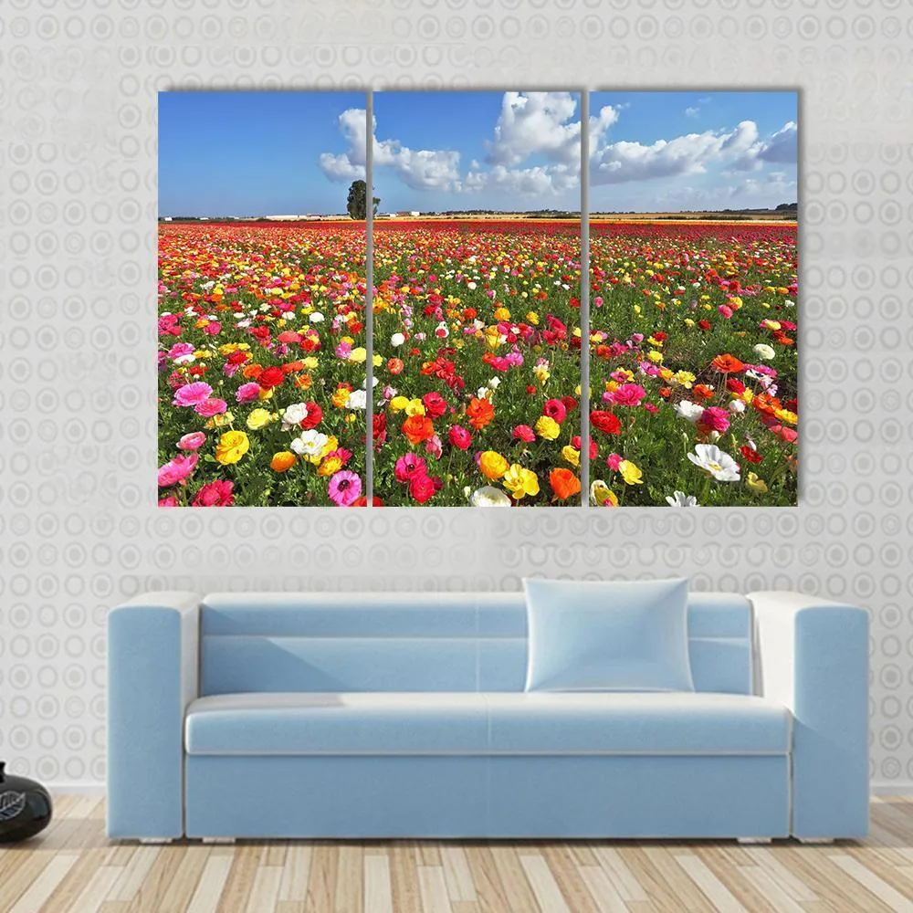 Magnificent Garden Buttercups Canvas Wall Art