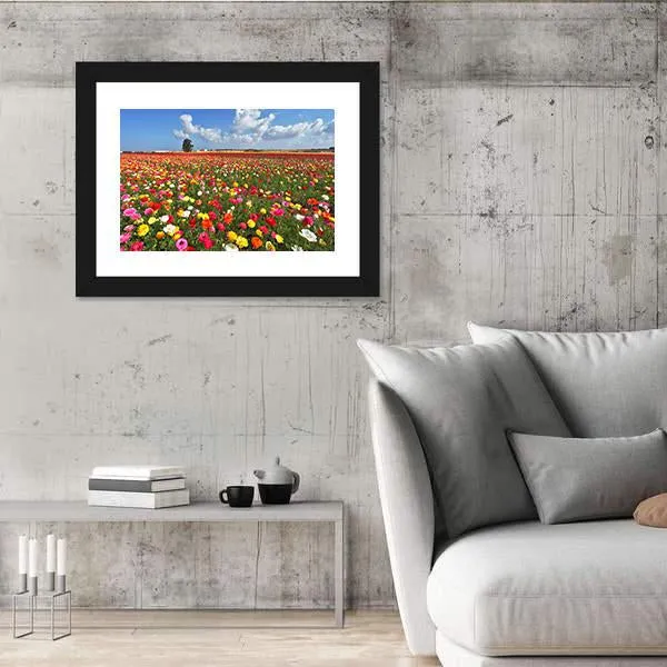 Magnificent Garden Buttercups Canvas Wall Art
