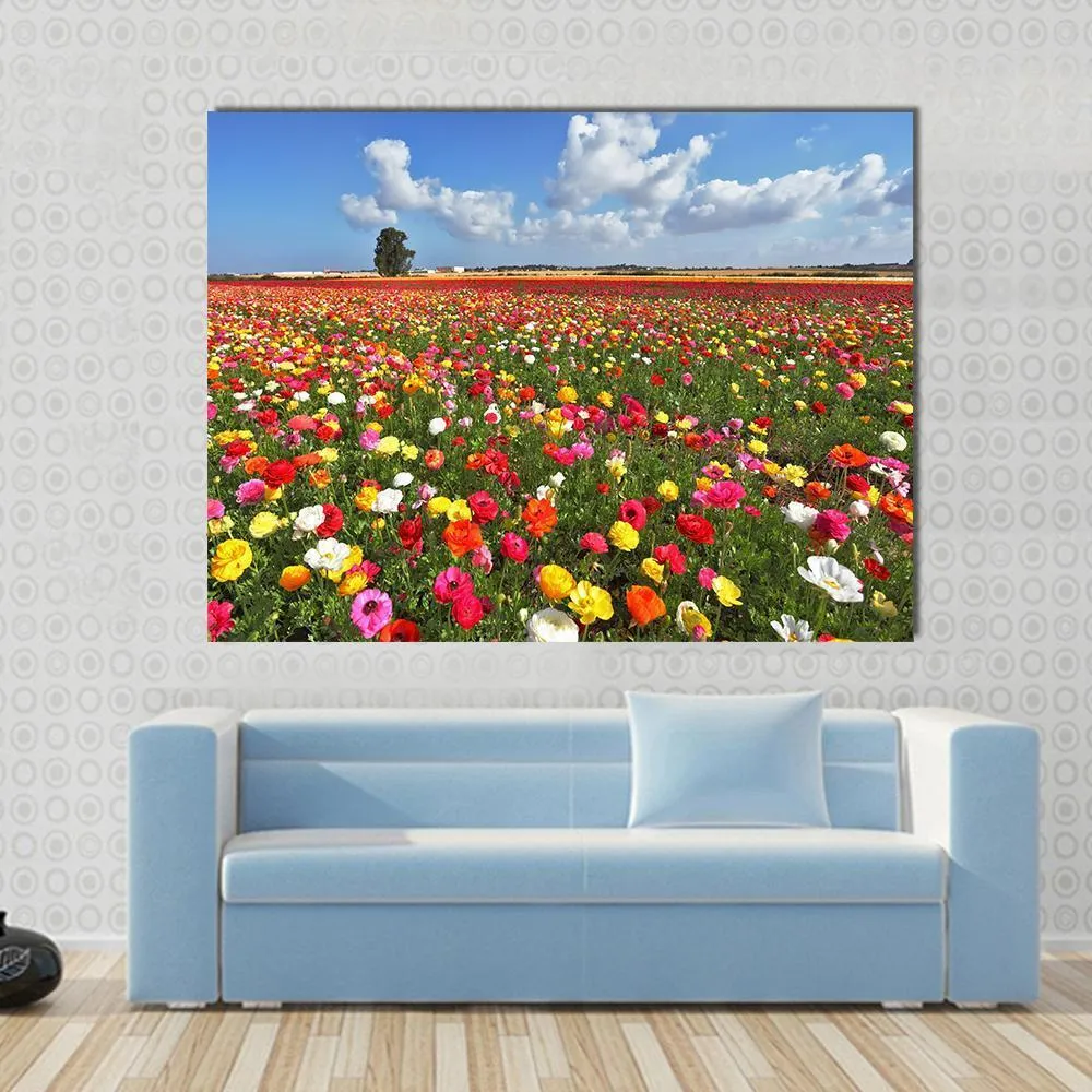 Magnificent Garden Buttercups Canvas Wall Art