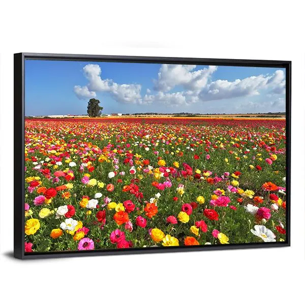 Magnificent Garden Buttercups Canvas Wall Art