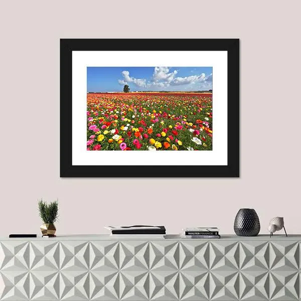 Magnificent Garden Buttercups Canvas Wall Art