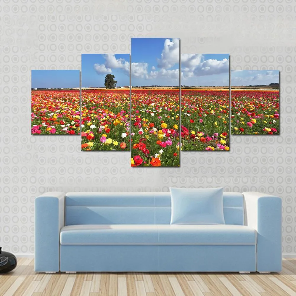 Magnificent Garden Buttercups Canvas Wall Art