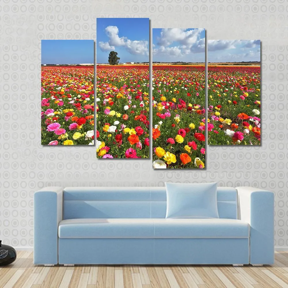 Magnificent Garden Buttercups Canvas Wall Art