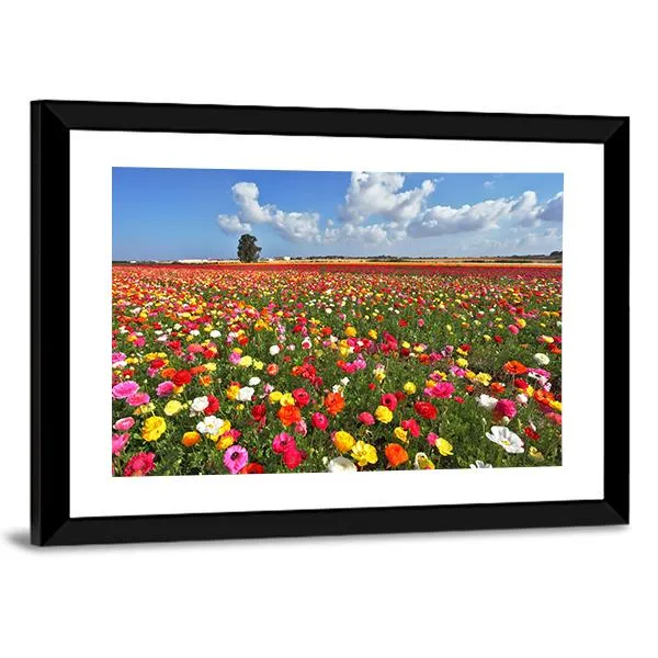 Magnificent Garden Buttercups Canvas Wall Art