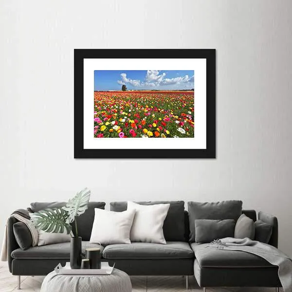 Magnificent Garden Buttercups Canvas Wall Art