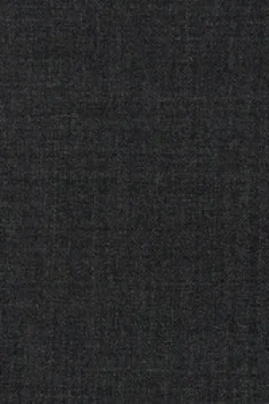 Paul Betenly "Florence" Charcoal Solid Plain Front Pants
