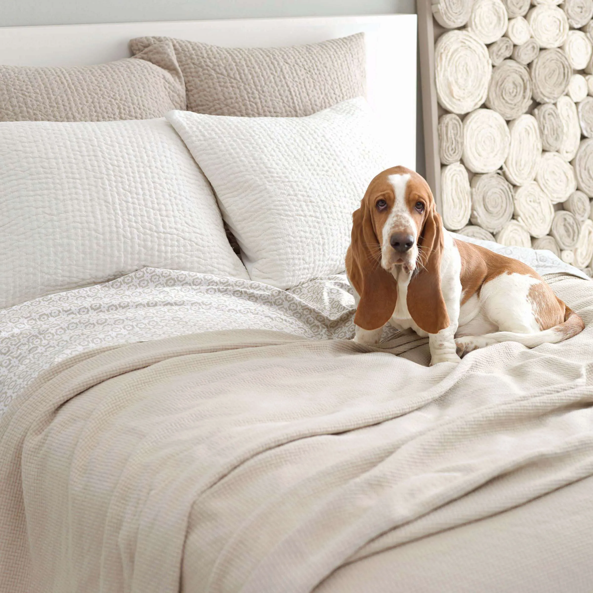 Pine Cone Hill Seychelles Dove White Quilted Sham