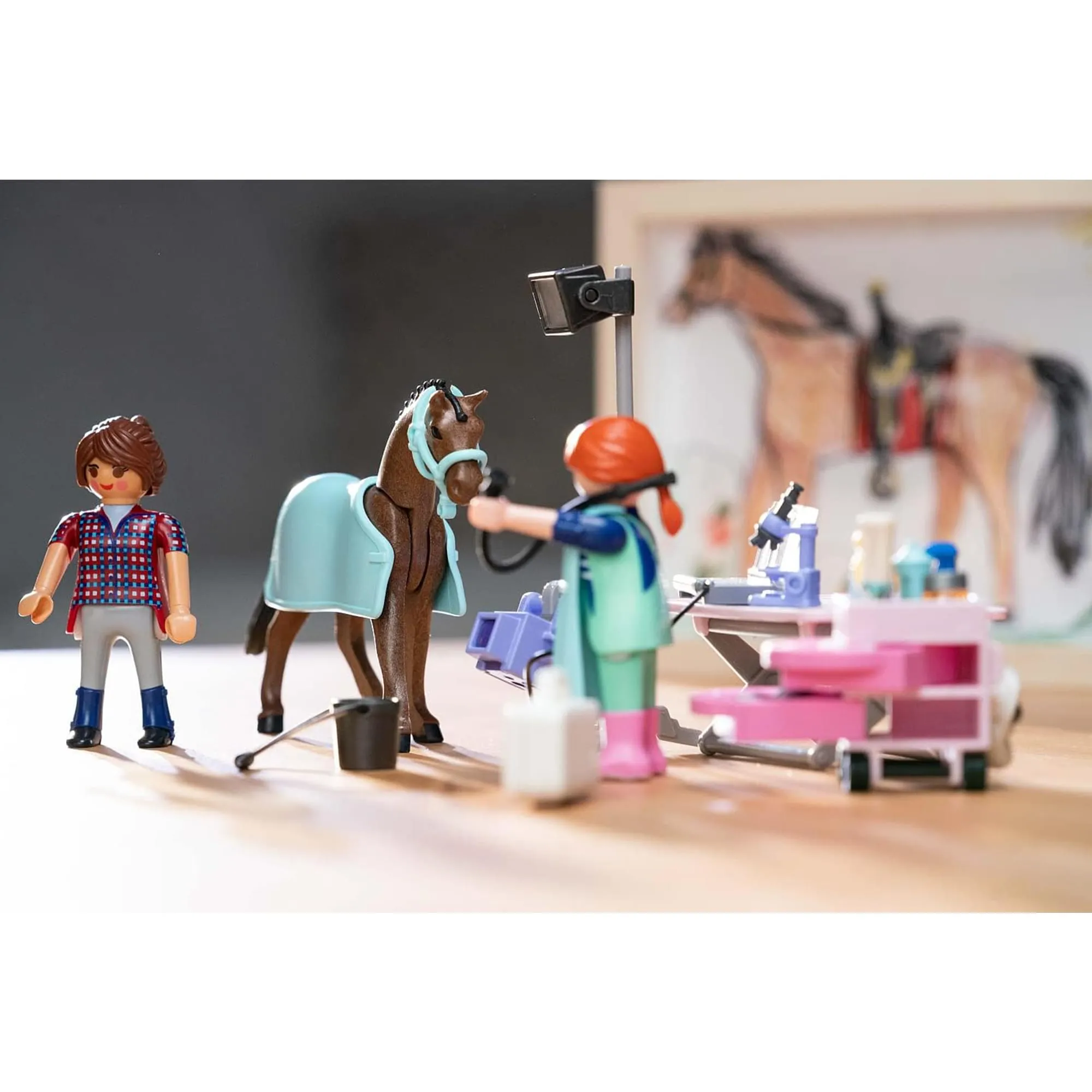 Playmobil 71241 Country Horse Veterinarian Building Set