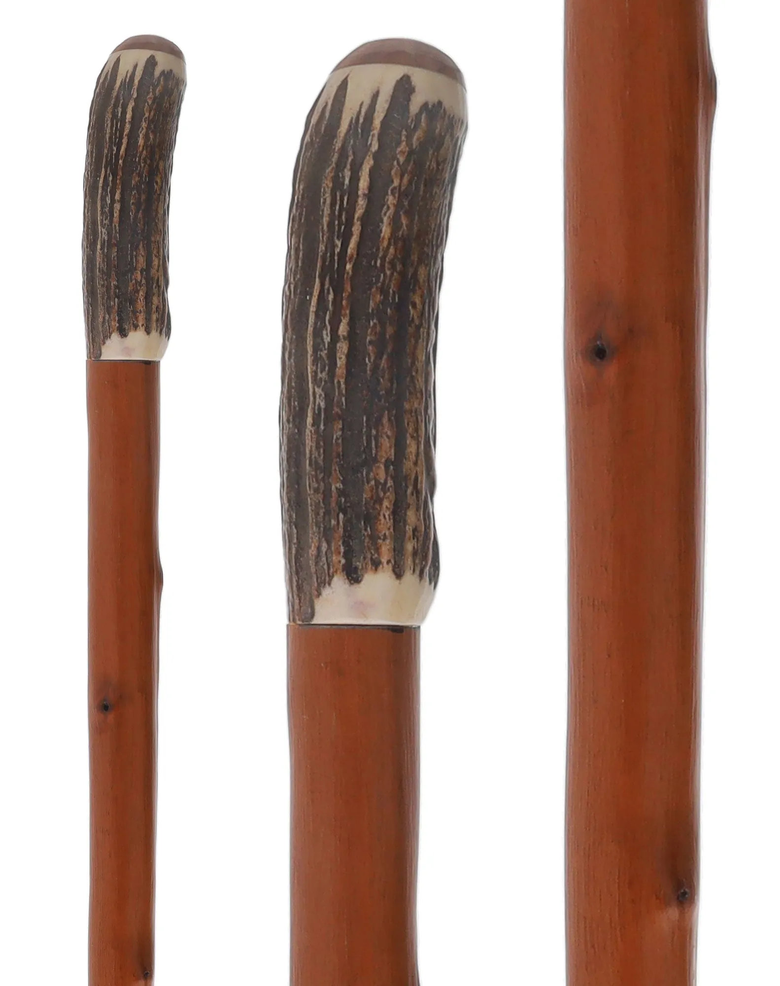 Rare Collector's Piece Listing: Comoy's Real Horn knob cane w/ natural chestnut shaft
