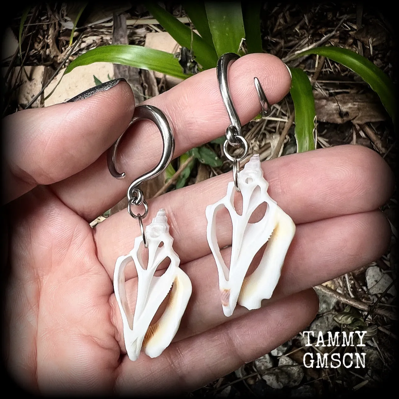 Shell slice gauged earrings-Shell ear hangers