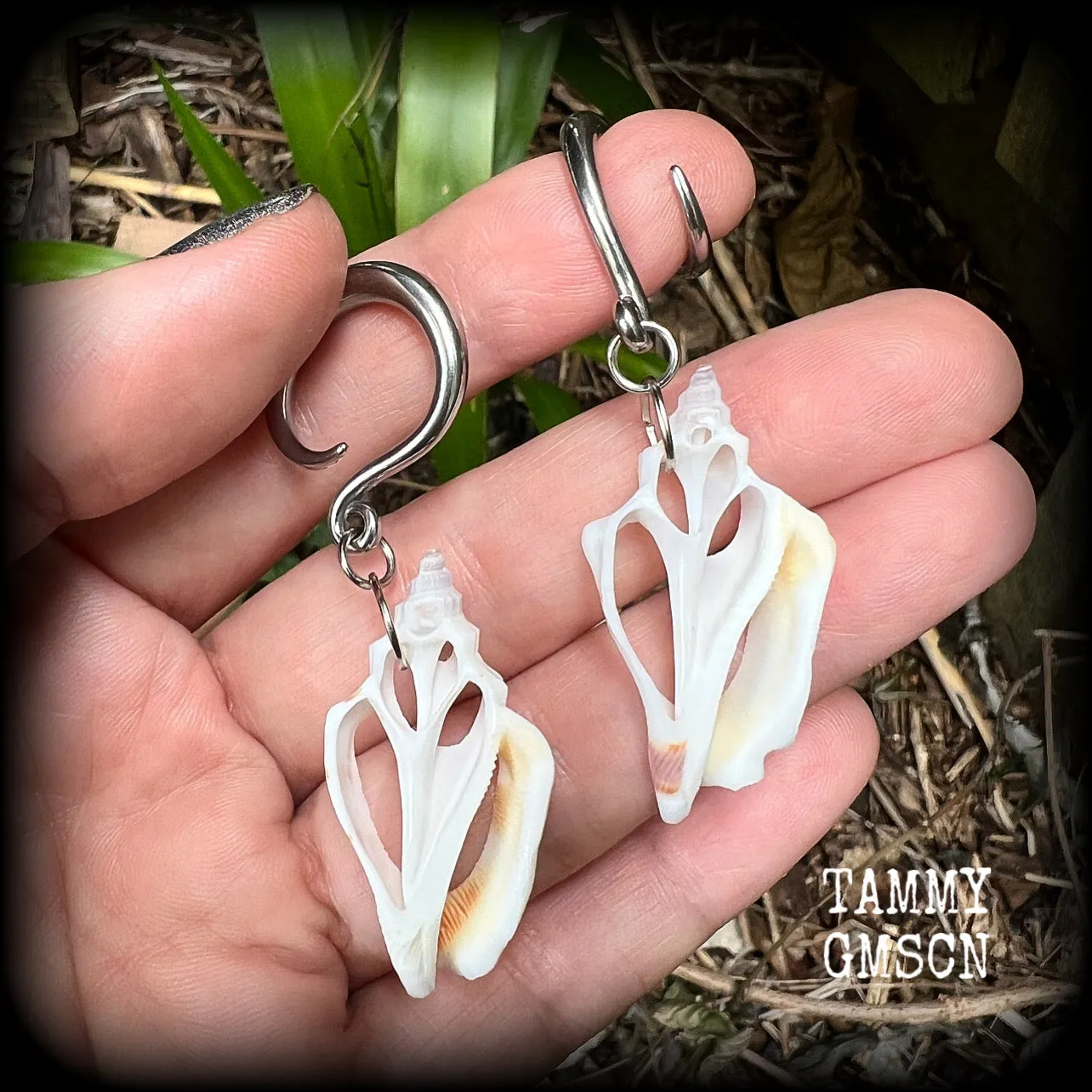 Shell slice gauged earrings-Shell ear hangers