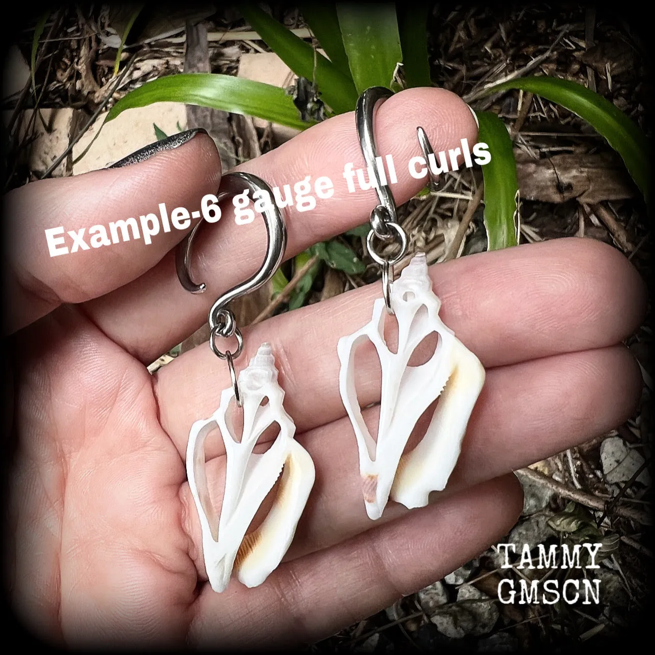 Shell slice gauged earrings-Shell ear hangers