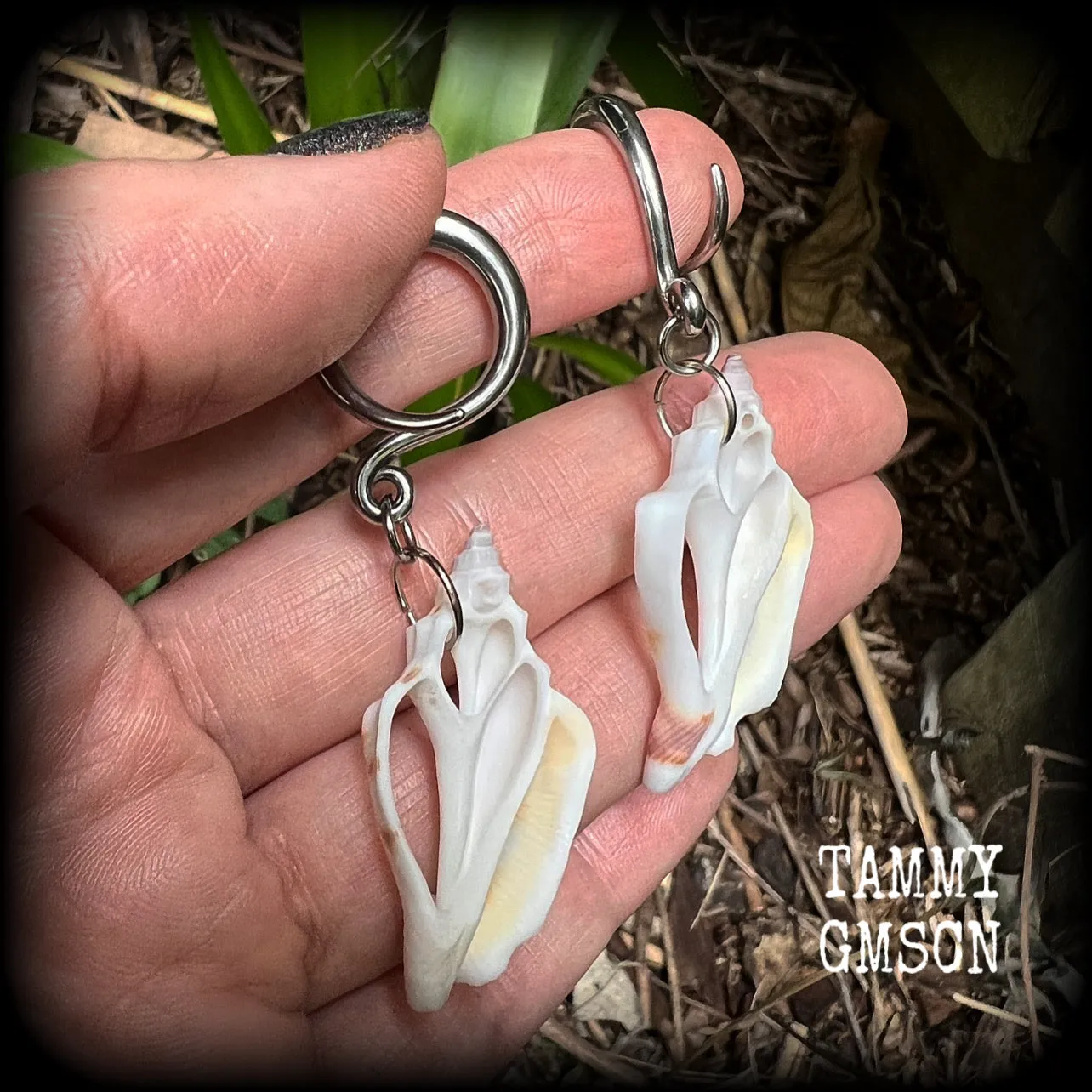 Shell slice gauged earrings-Shell ear hangers