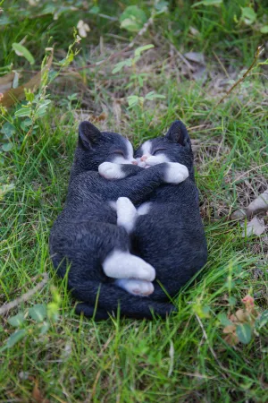 Sleeping Couple Cats - Black And White