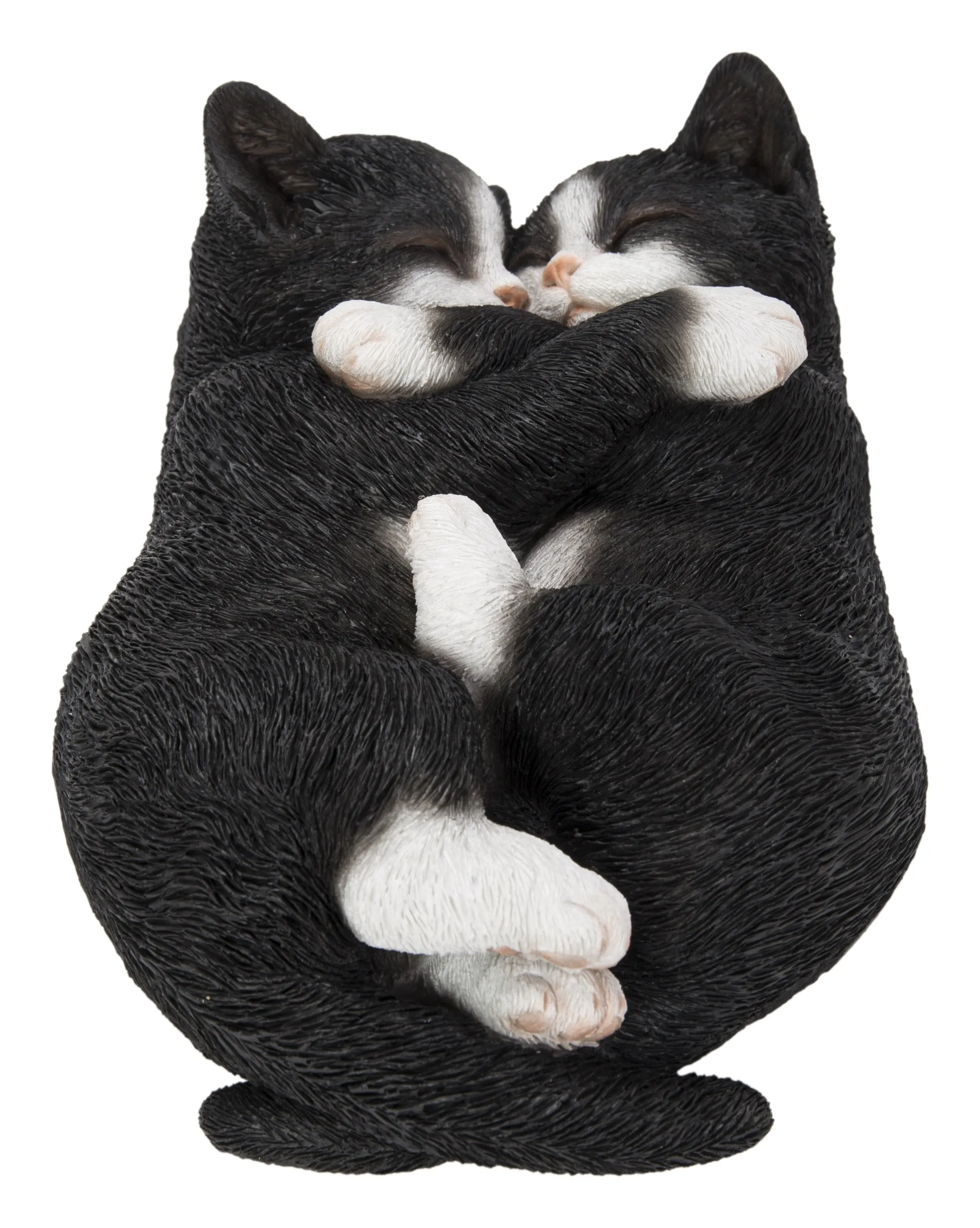 Sleeping Couple Cats - Black And White