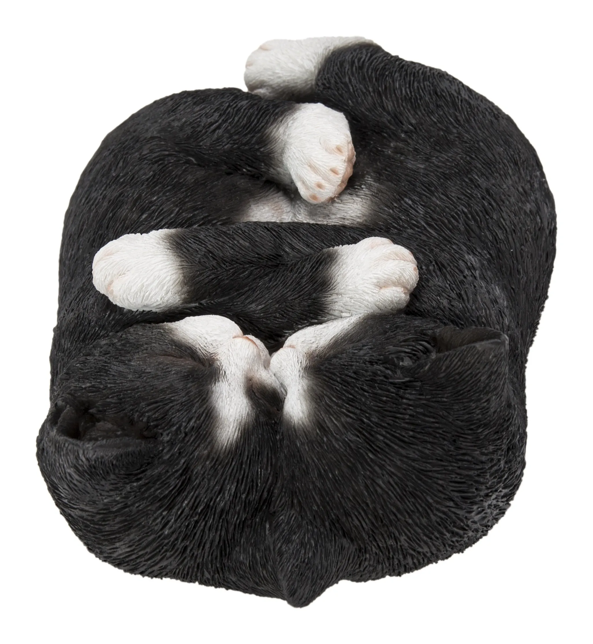 Sleeping Couple Cats - Black And White