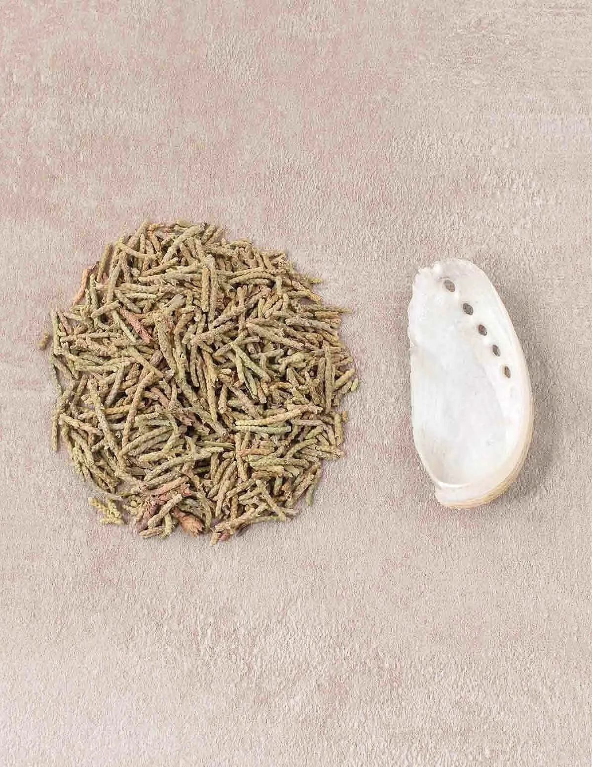 Smudge & Shell Set - Cedar