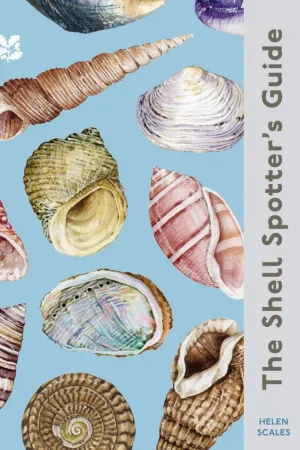 The Shell Spotter's Guide