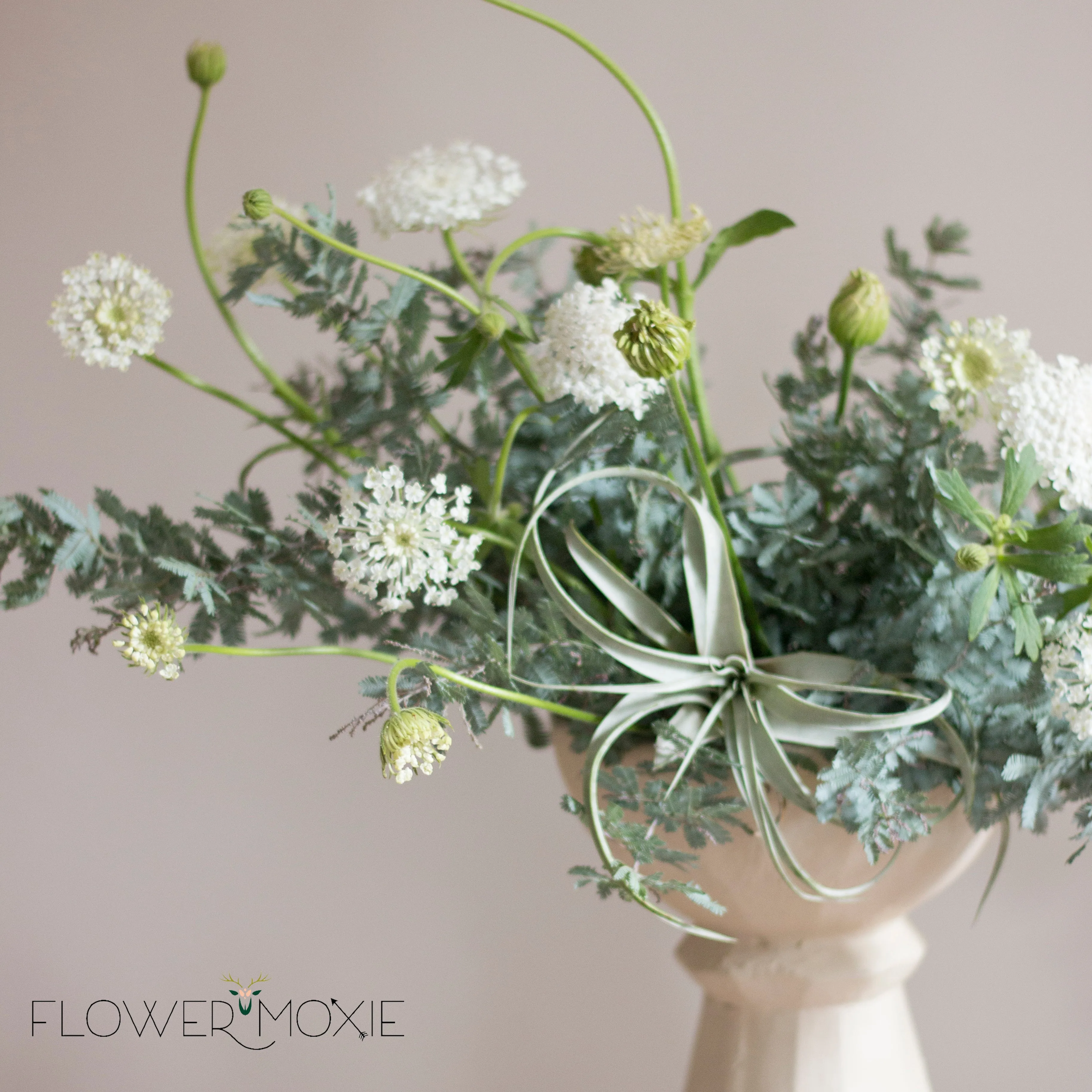 White Queen Anne's Lace Flower